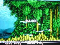 Bio Hazard Battle sur Sega Megadrive